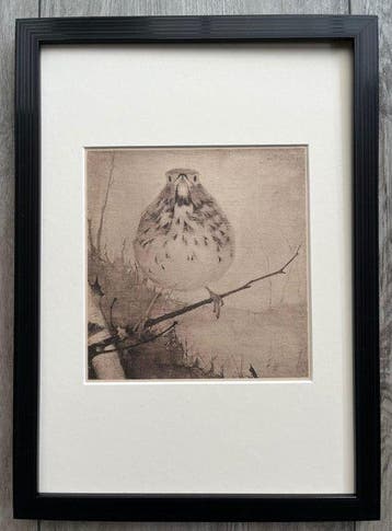 Jan Mankes (1889-1920) - Heliogravure - Lijster op Tak 1923, Antiek en Kunst