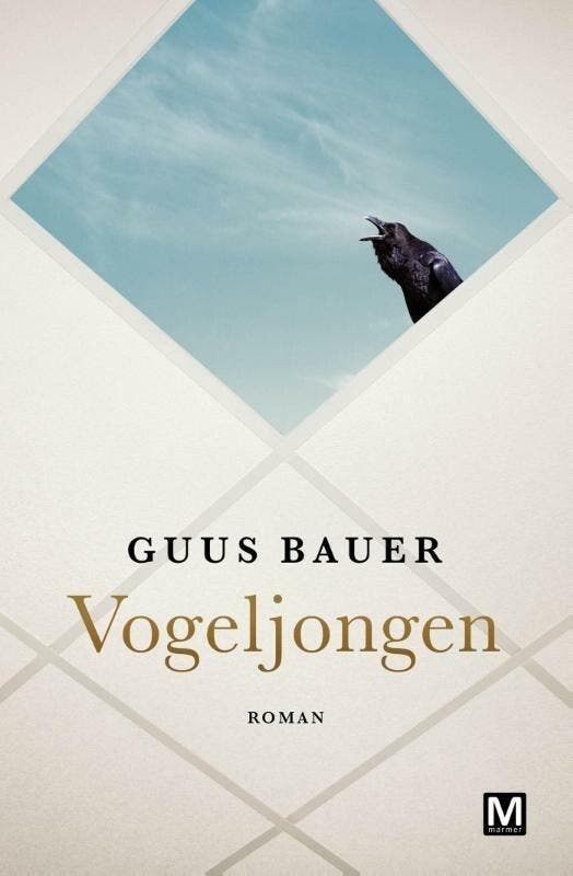 Vogeljongen (9789460682841, Guus Bauer), Boeken, Romans, Nieuw, Verzenden