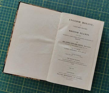 Sir James Edward Smith & James Sowerby - English Botany –, Antiek en Kunst