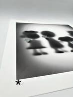 Whatshisname (1982) - Gone Peanuts Family Diamond Dust