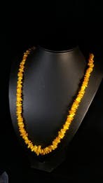 Ambre baltique - fils extra longs - collier - Ambre - 70 cm