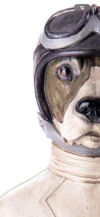 Figuur - Büste Hund mit Pilotenhelm handbemalte