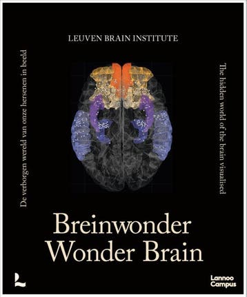 Breinwonder / Wonder Brain | Nieuw, Verzenden, Mathieu Vandenbulcke-Ann Van der Jeugd