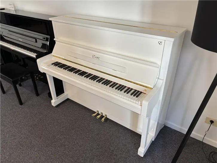 Essex EUP123E (2011), Musique & Instruments, Pianos, Envoi