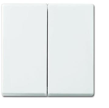 ABB Busch-Jaeger Balance SI Control Element/Central Plate, Verzenden