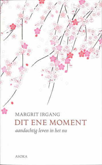 Dit ene moment 9789056701864 M. Irgang, Boeken, Verzenden, Gelezen, M. Irgang