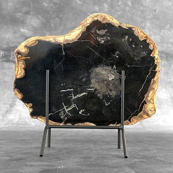 C- Prachtige grote plak versteend hout op een maatwerk