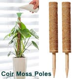 Mosstok Kokosstok planten totem 50 cm per stuk, Hobby en Vrije tijd, Nieuw