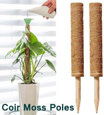 Mosstok Kokosstok planten totem 50 cm per stuk, Hobby en Vrije tijd, Nieuw