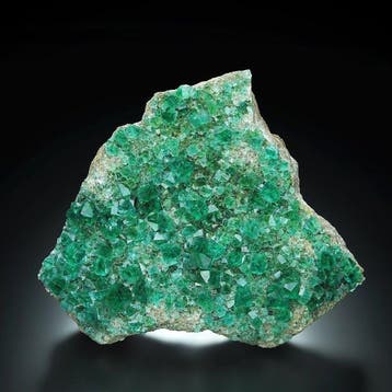 Classe mondiale ! Fluorite fluorescente de taille musée, Collections