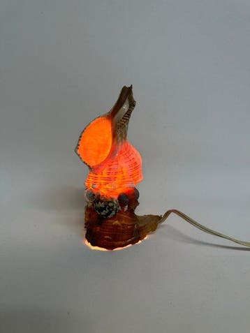 schelp Zeeschelp - Seashell Table Lamp (Zonder minimumprijs), Verzamelen, Dierenverzamelingen, Nieuw