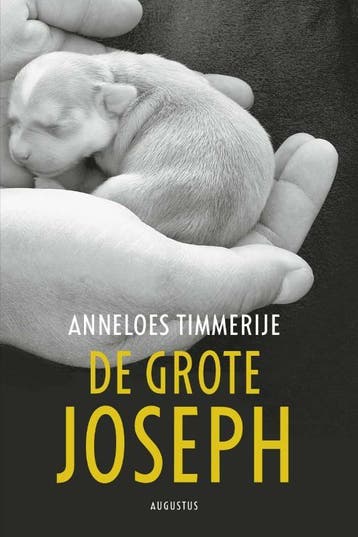 De grote Joseph 9789045704142 Anneloes Timmerije, Verzenden, Anneloes Timmerije