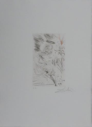 Salvador Dali (1904-1989) - Lange