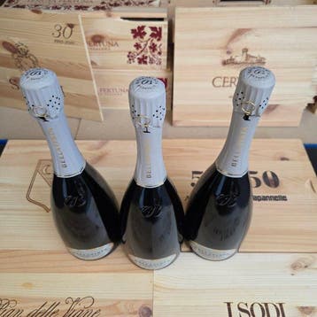 2020 Bellavista, Bellavista Satèn - Franciacorta Satèn, Brut, Nieuw