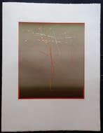 Hans Martin Erhardt (1935) - Baum blühend