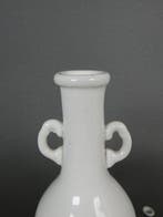 Vaas - Porselein - China - Kangxi (1662-1722) - Zeldzaam, Antiek en Kunst