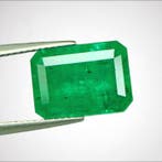 1 pcs Groen Smaragd - 7.01 ct - Guild Gem Laboratory -, Nieuw