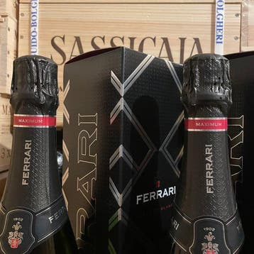 Cantine Ferrari, Maximum Blanc de Blancs - Trentino Alto, Nieuw