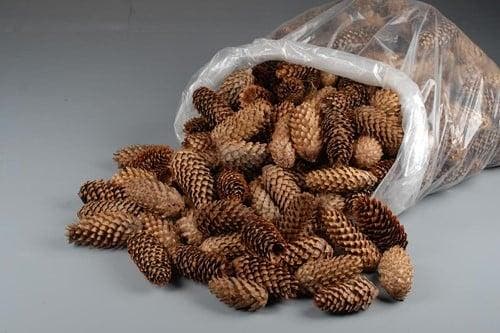 Spruce Dennenappel Spar 5 kilo, Huis en Inrichting, Woonaccessoires | Kunstplanten en Kunstbloemen, Nieuw