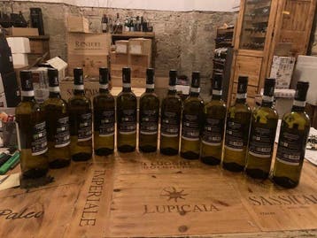 2025 Antonelli, Montefalco Grechetto - Umbrië DOC - 12 Fles, Nieuw
