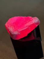 Rubis Vrai bijou ! Époustouflant, 95,5 ct. Mozambique. Rubis