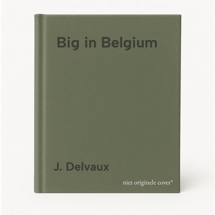 Big in Belgium 9789052404493 J. Delvaux, Boeken, Muziek, Gelezen, Verzenden