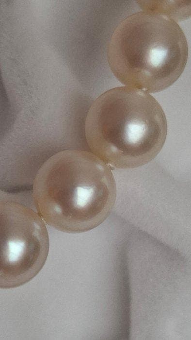 Zonder minimumprijs - Halsketting Zilver Parel, Bijoux, Sacs & Beauté, Colliers