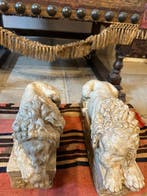 sculptuur, Leoni il dormiente e il vegliante - 17 kg - 31 cm