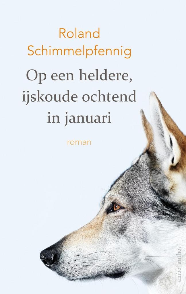 Op een heldere, ijskoude ochtend in januari 9789026337932, Boeken, Romans, Zo goed als nieuw, Verzenden