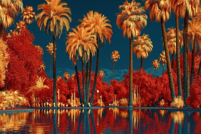 CoCo - Desert Mirage - XXL, Antiek en Kunst, Kunst | Designobjecten