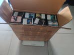 Wizards of The Coast Bulk kaarten - Magic: The Gathering, Nieuw