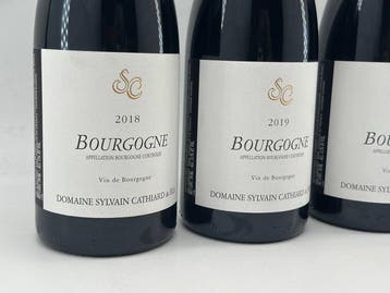 Domaine Sylvain Cathiard & Fils, Bourgogne Rouge 2018, 2019, Nieuw