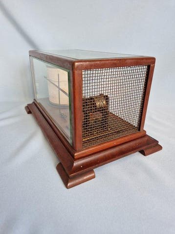 Thermograaf - Ross London - Koper, Hout, Glas - 1900-1910,, Antiek en Kunst