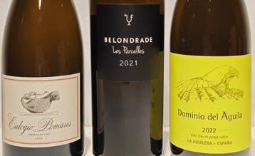 2021 Bodega Belondrade, Les Parcelles, 2022 Dominio del, Nieuw