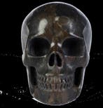 467 g 9,00 x 7,50 cm Turitella agat fossiel doodskop