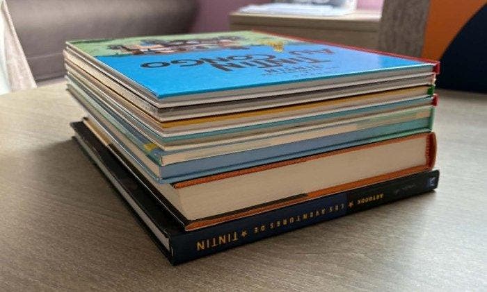 Tintin 1 - Archives Hergé / Artbook / Art-Alfa / Albums - 7, Livres, BD