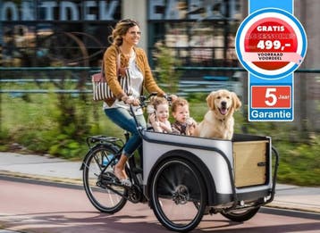 oyal Cargo Bike 3W Eco Elektrische Bakfiets, Overige merken, 4 kinderen of meer, Verzenden, Huif