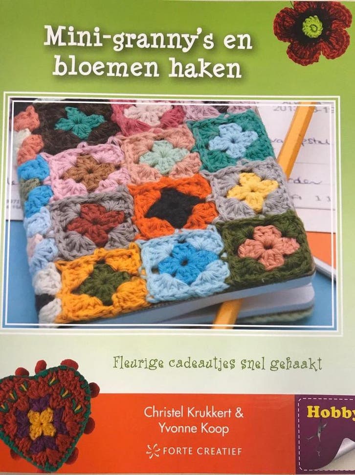Mini-grannys en bloemen haken 9789462500563, Boeken, Hobby en Vrije tijd, Zo goed als nieuw, Verzenden