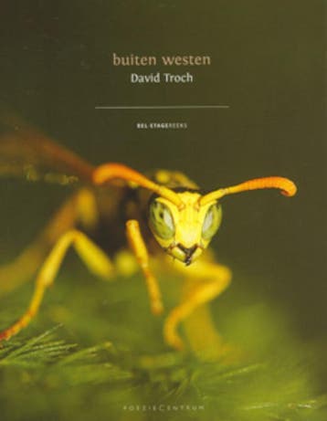 Buiten westen / Bel- etagereeks / 5 9789056551858, Verzenden, Zo goed als nieuw, David Troch