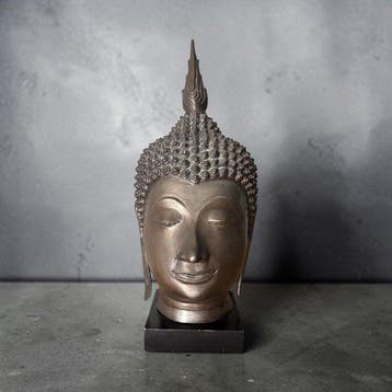 Grande testa di Buddha - Sculpture - Thaïlande (Sans prix de