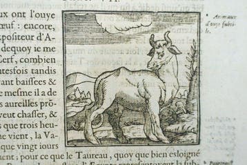 Giovanni Pierio Valeriano Bolzani - Les Hieroglyphiques.