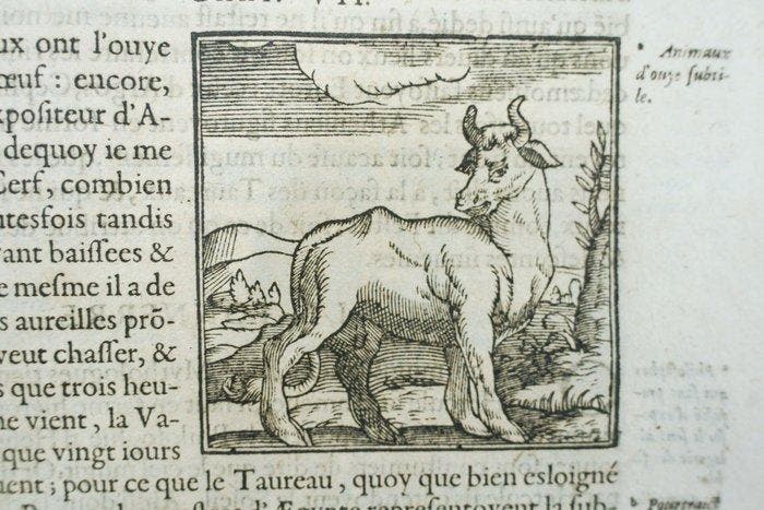 Giovanni Pierio Valeriano Bolzani - Les Hieroglyphiques., Antiquités & Art, Antiquités | Livres & Manuscrits