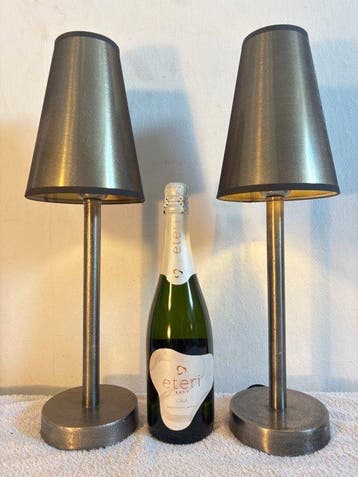 Light & Living - Tafellamp (2) - Metaal, Staal, Textiel