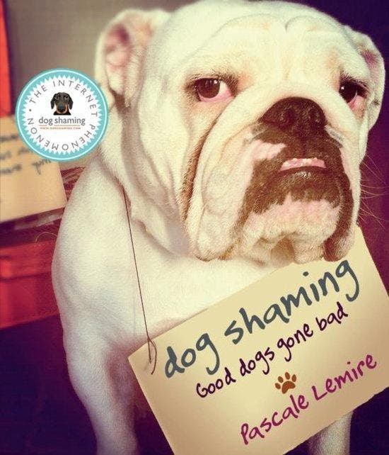 Dog Shaming 9780753555156 Pascale Lemire, Livres, Langue | Anglais, Envoi