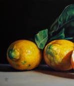 Francesco Parlato (XX-XXI) - Limoni di Sorrento