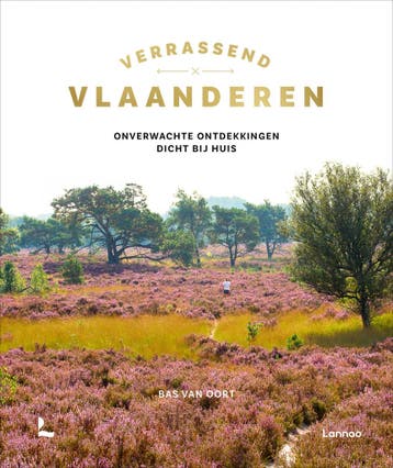 Verrassend Vlaanderen (9789020925791, Bas van Oort), Verzenden