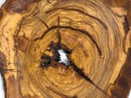 Plateau décoratif - Bol SCULTOREA en bois dolivier massif -