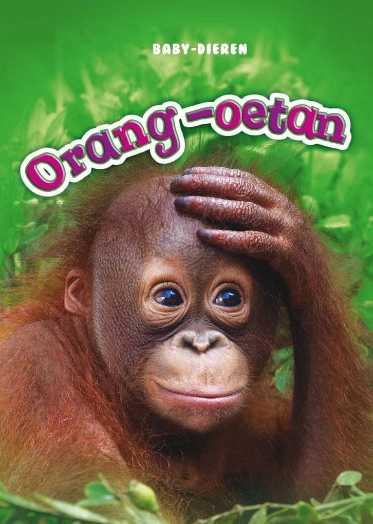 Orang-oetan / Baby-dieren 9789463412292 Christina Leaf, Livres, Livres pour enfants | Jeunesse | 10 à 12 ans, Envoi