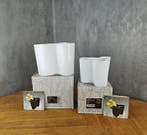 Iittala - Alvar Aalto - Vaas (2) - Iittala Savoy - Glas - 16