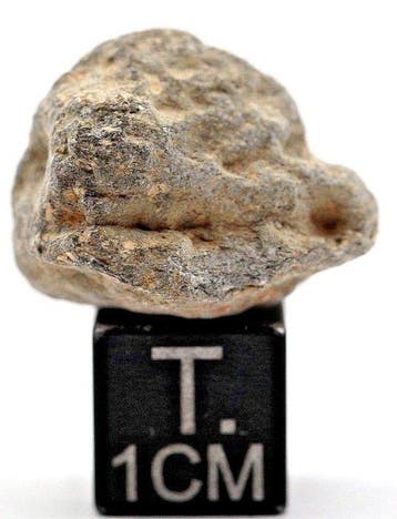 NWA 15244 HED achondrite eucrite monomict. Météorite
